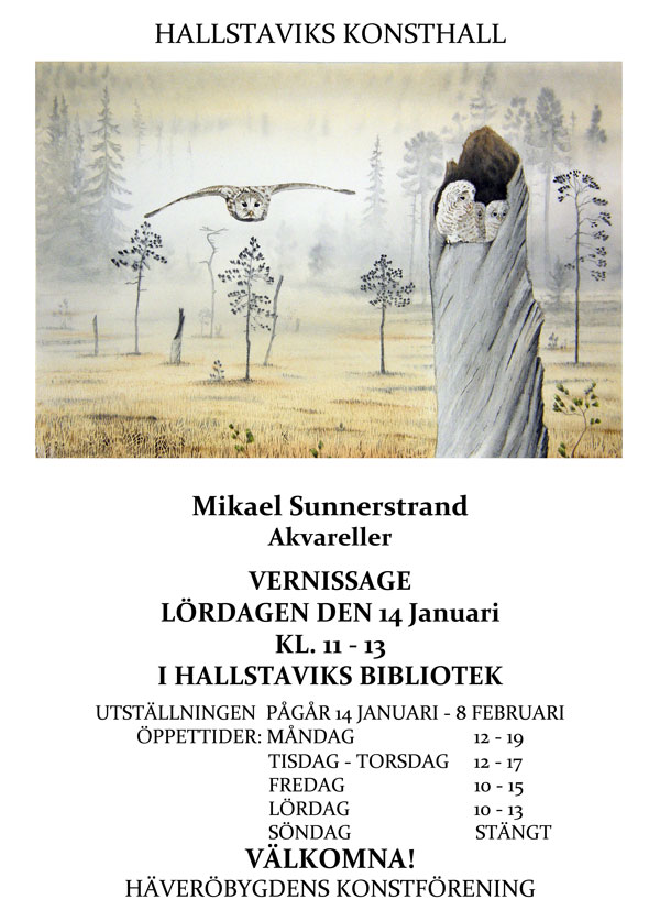 Mikael Sunnerstrand konstutställning i Hallstavik